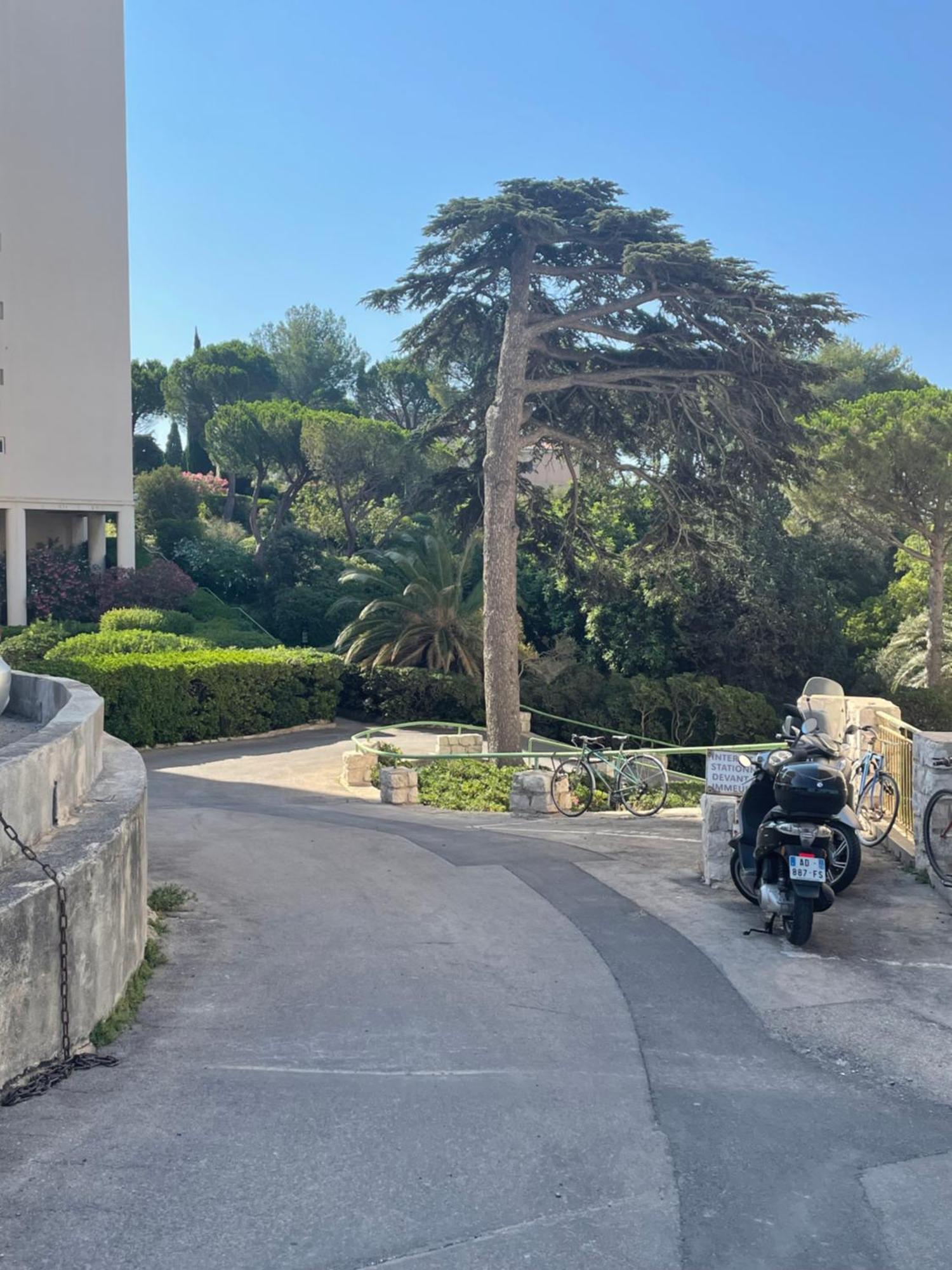 Vu Sur Mer Corniche Apartamento Marselha Exterior foto